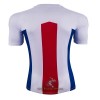 Officiële Voetbalshirt Crystal Palace Uit 2020-21 - Heren